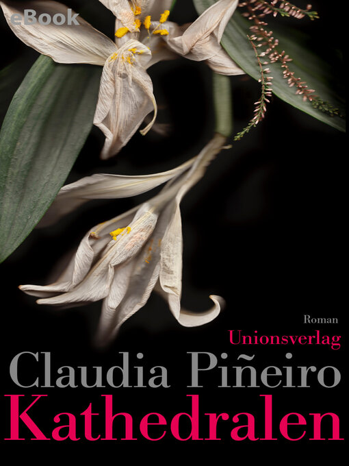 Title details for Kathedralen by Claudia Piñeiro - Available